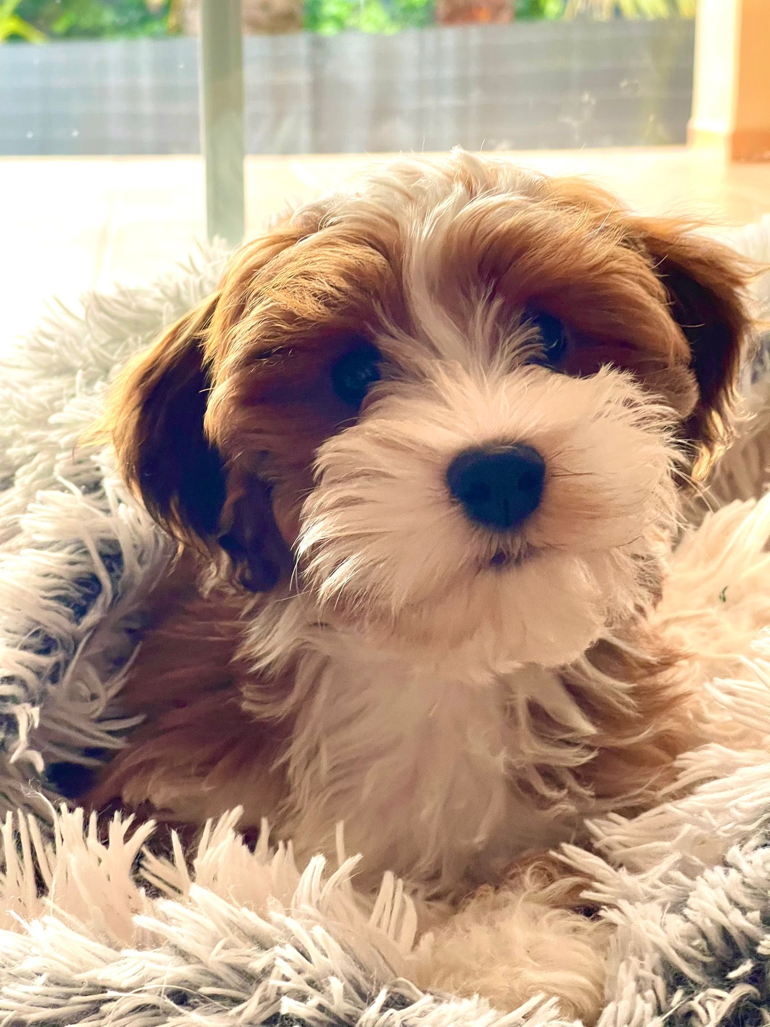 WhatsApp Image 2022-03-16 at 202714