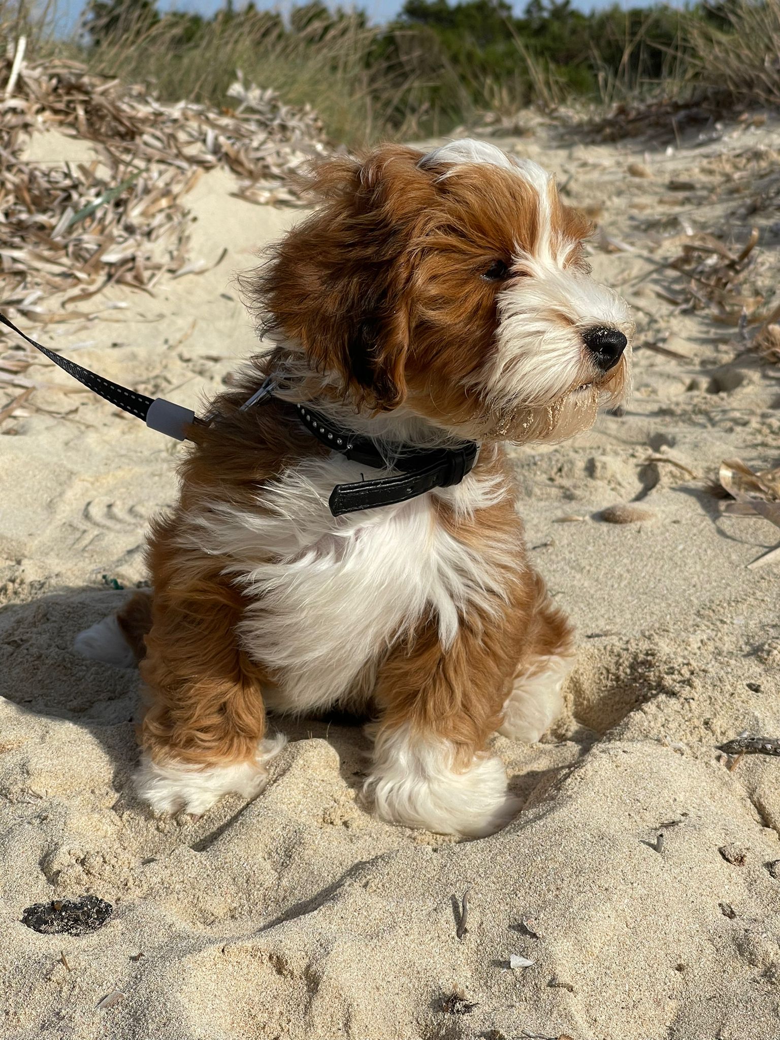 WhatsApp Image 2022-03-16 at 202714 1