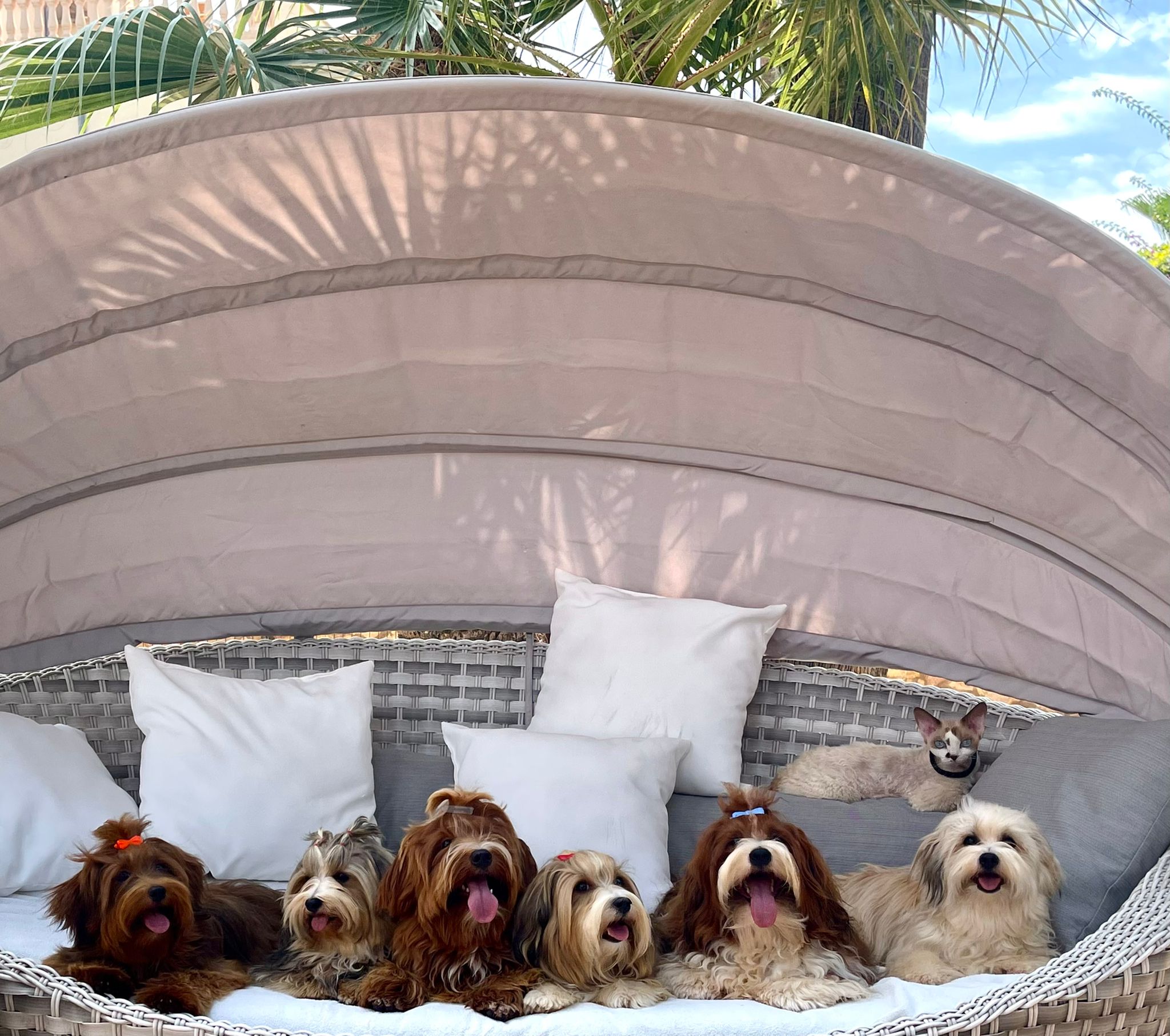 WhatsApp Image 2022 03 16 at 20.40.05